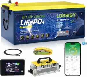 LifePo4 Golf Cart Battery